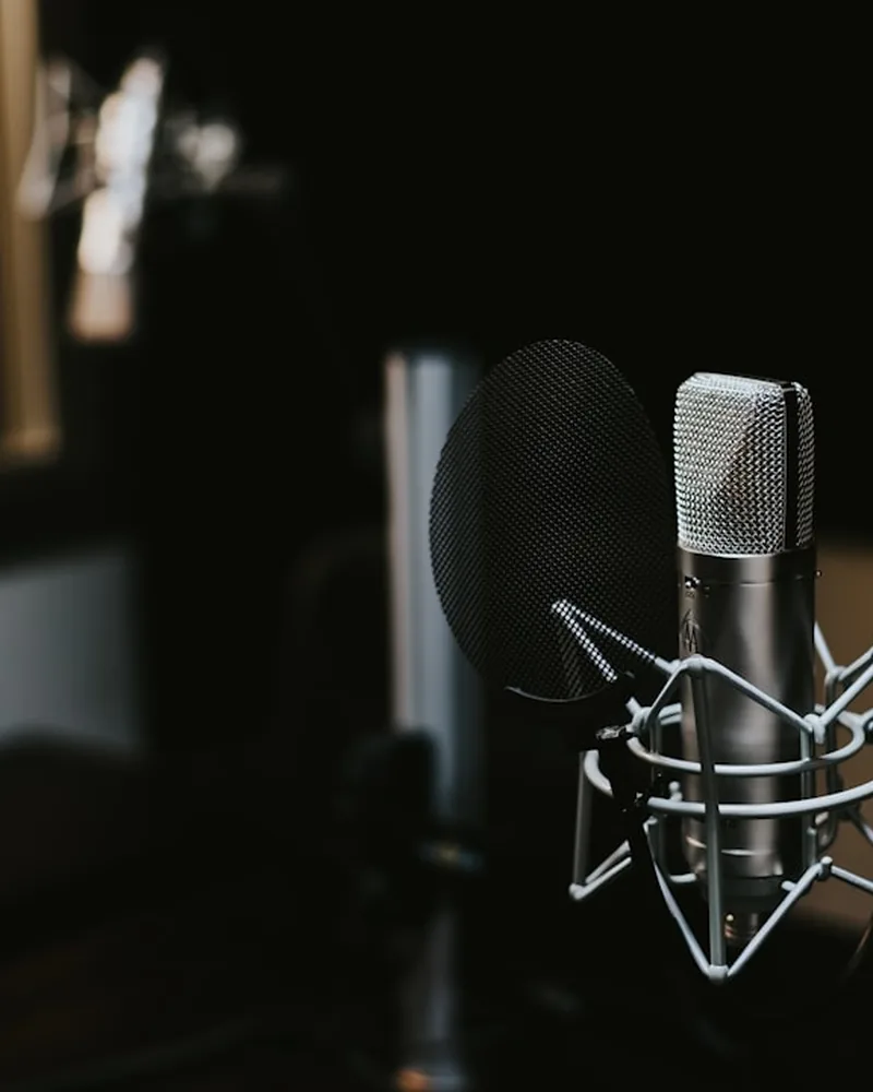 Détail vertical de la grille d’un microphone de voix